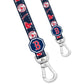 Boston Red Sox x Fresh Pawz | Leash