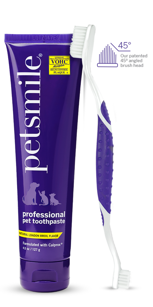 Professional Toothpaste London Broil Large & Professional Pet Toothbrush