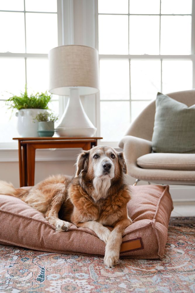 Lounger Pet Bed in Pittie Pink