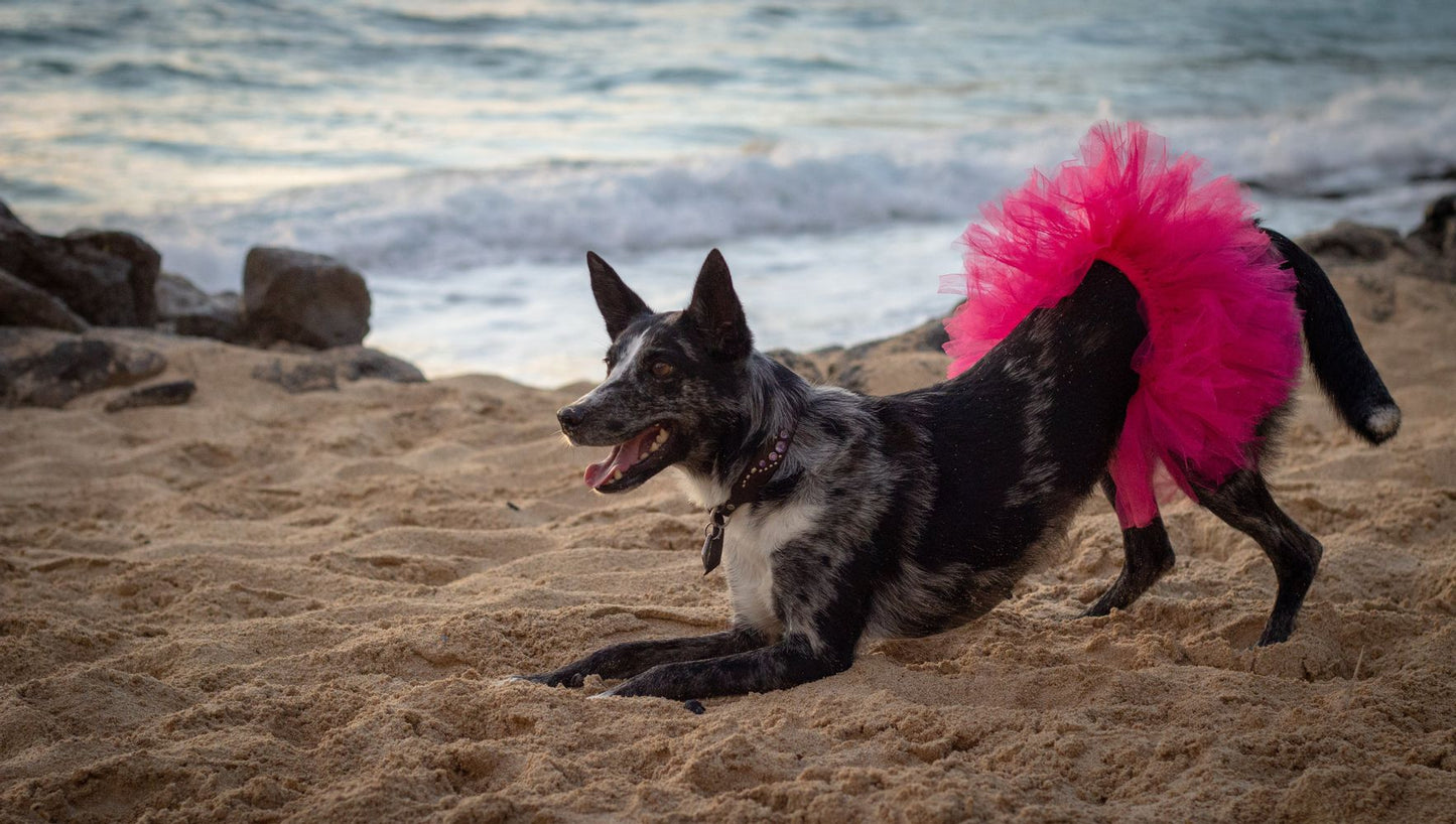 Hot Pink Dog Tutu Skirt | XS-XXXL